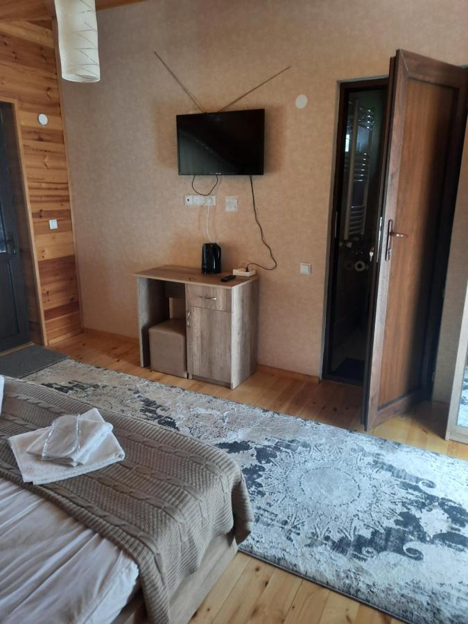 Four Season In Kazbegi Hotel Buitenkant foto